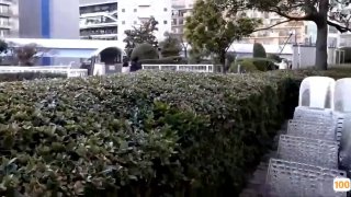 《攞命哥罗方》完整版免费在线观看-爱情片
